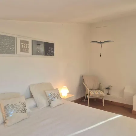 3 Pieces - Vue Sur Port - Cap D 'agde Ct345-029 * アグド